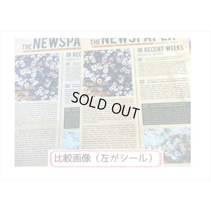 画像6: A5サイズのペーパーセット＊ひまわり＊ペーパーとシール＊12枚＊海外製