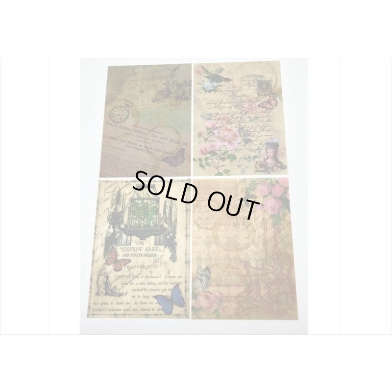 画像10: 窓から見えるトレペ💓ローズレター＊柄違い＊20枚＊海外製