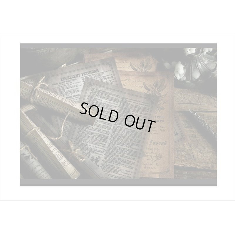 画像14: 2種のアンティークなペーパーセット＊山の月夜＊30枚＊海外製