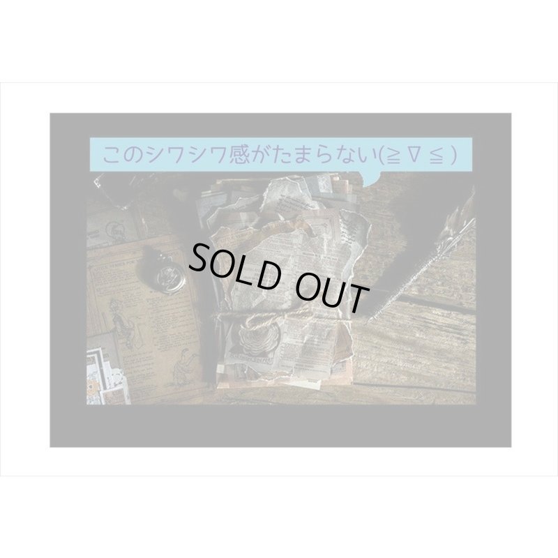 画像10: 2種のアンティークなペーパーセット＊山の月夜＊30枚＊海外製