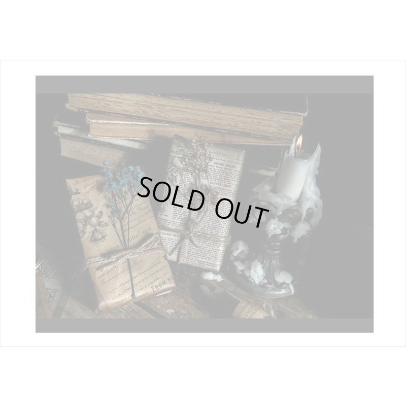 画像15: 2種のアンティークなペーパーセット＊山の月夜＊30枚＊海外製