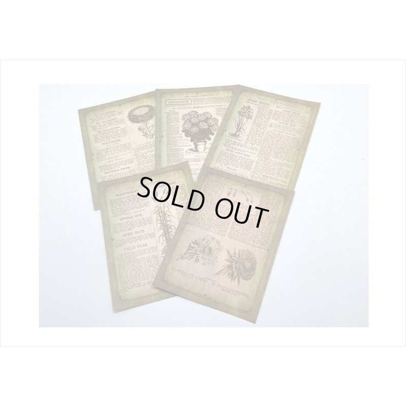 画像6: 2種のアンティークなペーパーセット＊花園＊30枚＊海外製