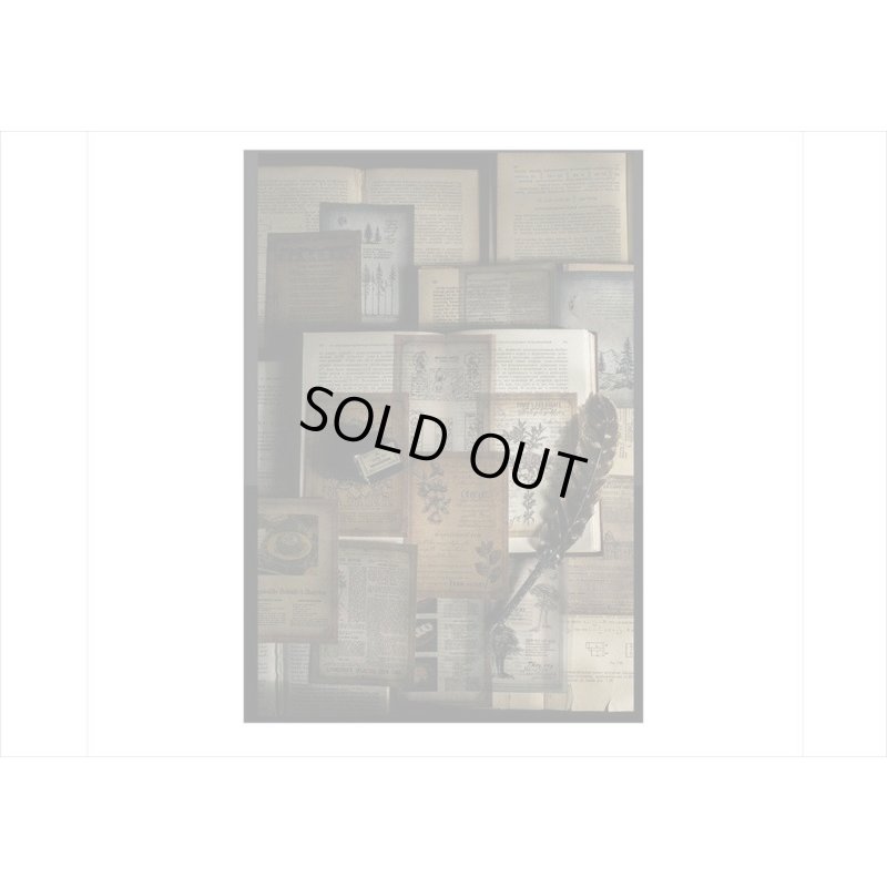 画像17: 2種のアンティークなペーパーセット＊山の月夜＊30枚＊海外製