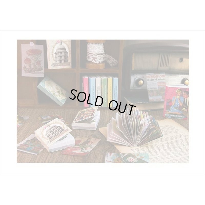 画像10: 絵本みたいなミニペーパーセット＊小さな町＊トレペ＊100枚＊海外製