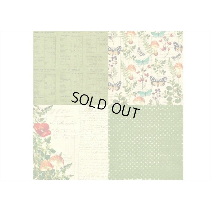 画像4: 紙モノ好きにはたまらない＊Serenity＊パターンペーパー＊24枚＊海外製