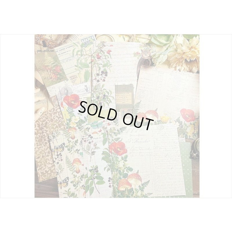 画像6: 紙モノ好きにはたまらない＊Serenity＊パターンペーパー＊24枚＊海外製