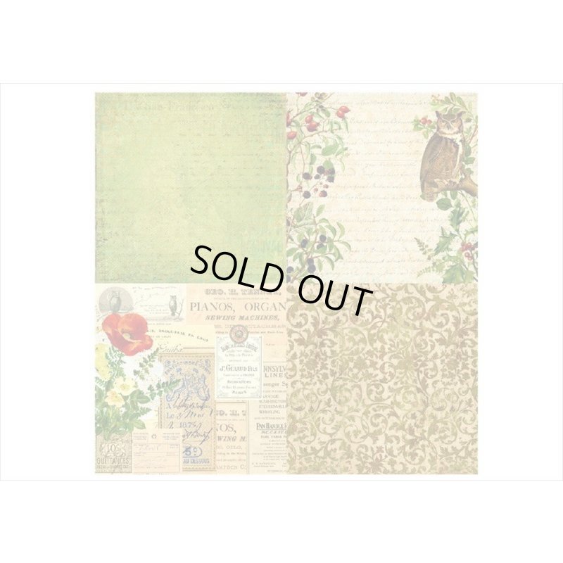 画像3: 紙モノ好きにはたまらない＊Serenity＊パターンペーパー＊24枚＊海外製