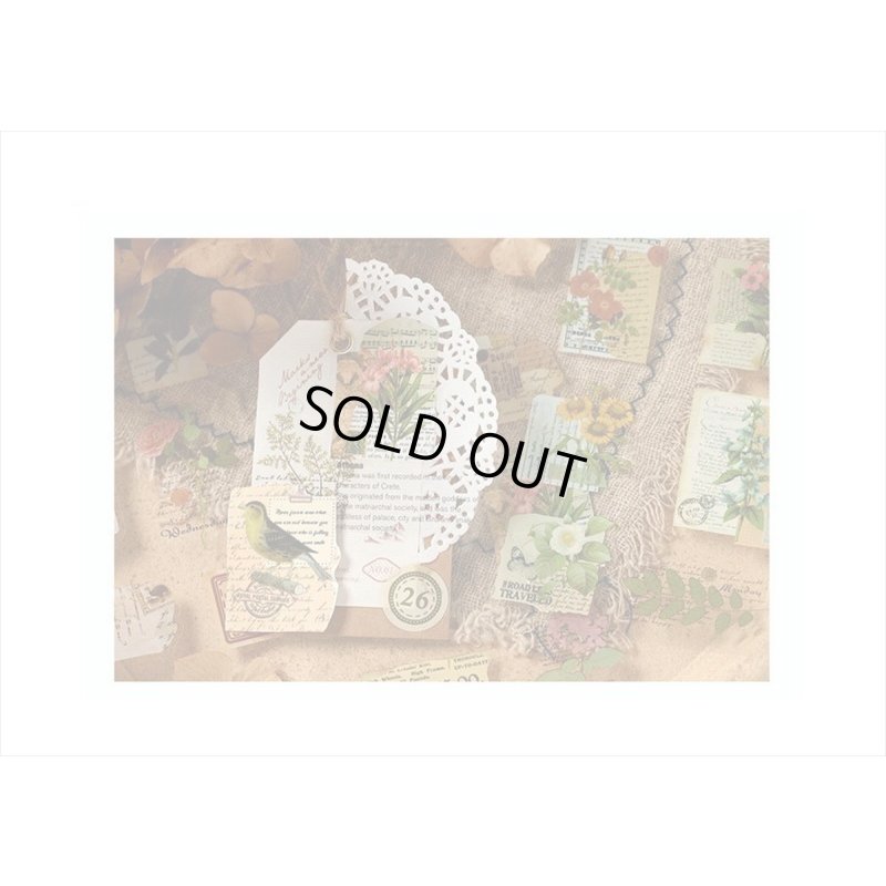 画像19: 防水PETシール帳＊草木と動物＊ダイカット＊20シート＊海外製