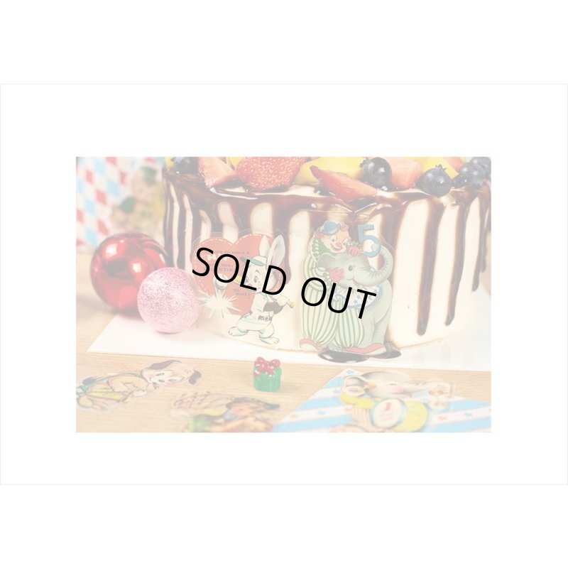 画像18: わいわいアニマル＊うさぎ＊PETシール＊40枚＊ダイカット＊海外製