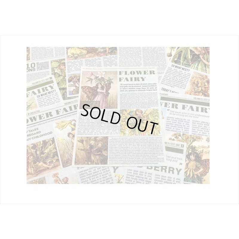 画像3: 花の妖精＊小さな新聞＊ペーパーセット＊60枚＊海外製