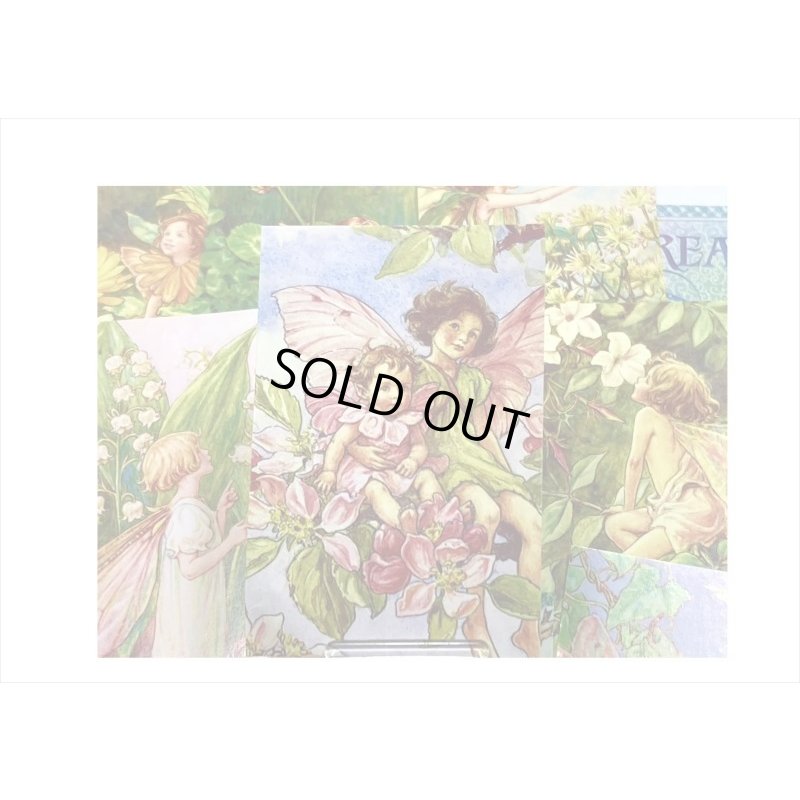 画像4: 花の妖精＊豆本みたいなシールブック＊50枚＊海外製