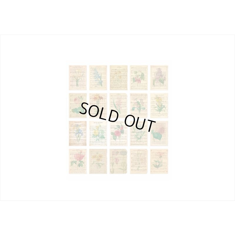 画像8: 古い洋書みたい♪＊楽譜＊ペーパーセット＊60枚＊海外製