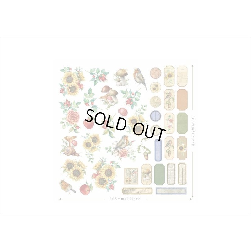 画像4: いろいろ使えるダイカット＊2202＊光沢シール＊40枚プラス＊海外製