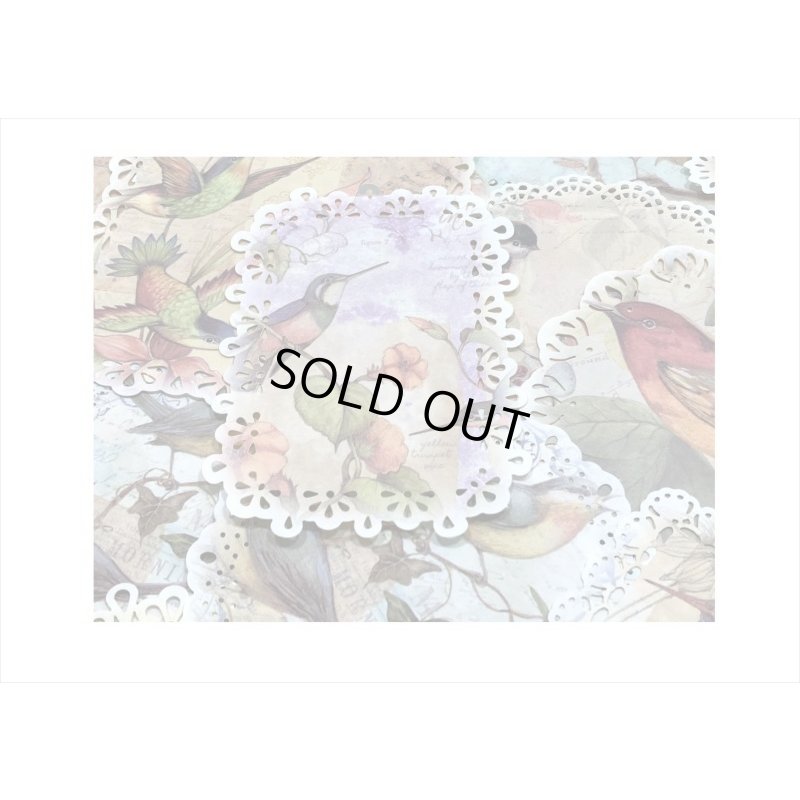 画像4: デザインカット＊鳥のさえずり＊レースペーパー風＊20枚＊海外製