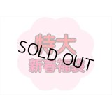 新春福袋＊特大＊46000円以上！送料込み＊同梱不可