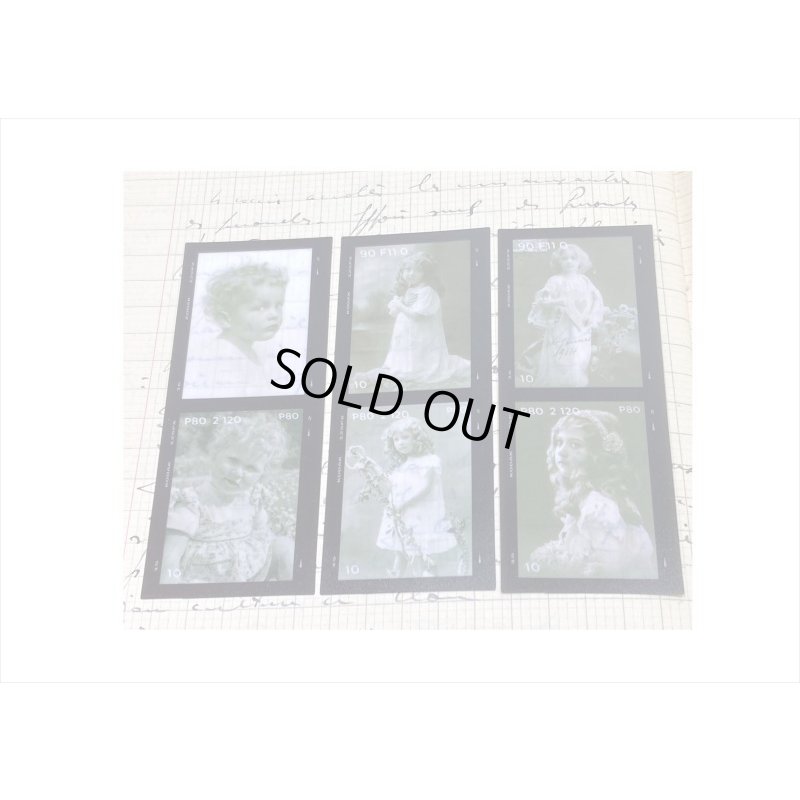 画像6: ネガフィルムみたいなPETシール＊マーガレット＊30枚入り＊海外製