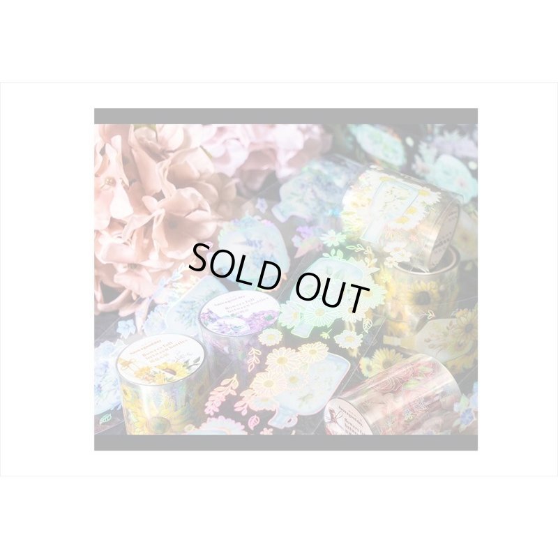 画像10: カラフルボトル＊ホワイト＊ホログラム＊PETテープ＊はく離式＊海外マステ＊クリックポスト不可