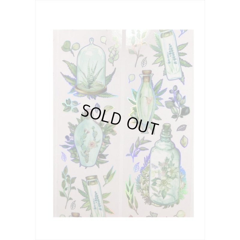 画像5: カラフルボトル＊グリーン＊ホログラム＊PETテープ＊はく離式＊海外マステ＊クリックポスト不可