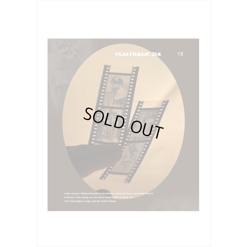 画像11: ネガフィルムみたいなPETシール＊エメラルド＊30枚入り＊海外製