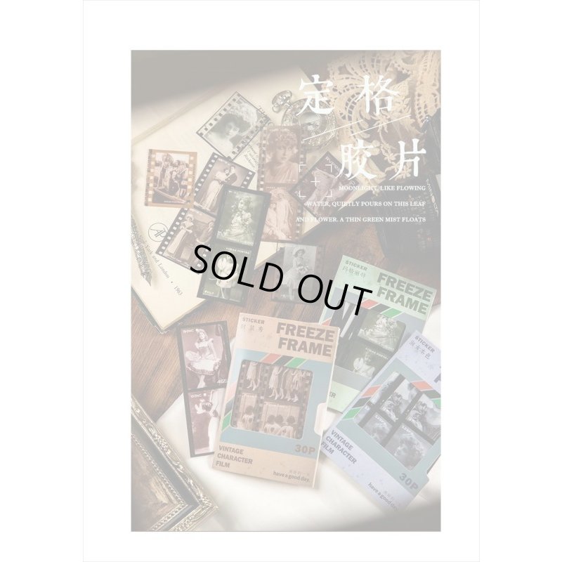 画像9: ネガフィルムみたいなPETシール＊エメラルド＊30枚入り＊海外製