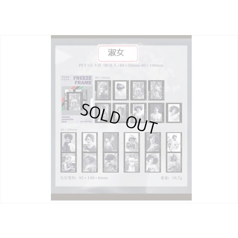 画像8: ネガフィルムみたいなPETシール＊淑女＊30枚入り＊海外製