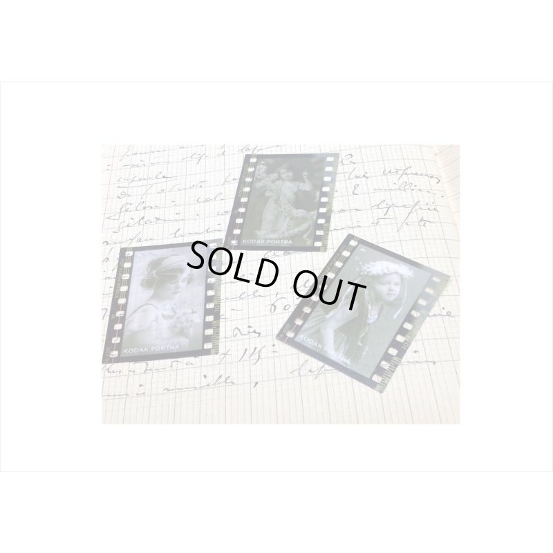 画像4: ネガフィルムみたいなPETシール＊マーガレット＊30枚入り＊海外製