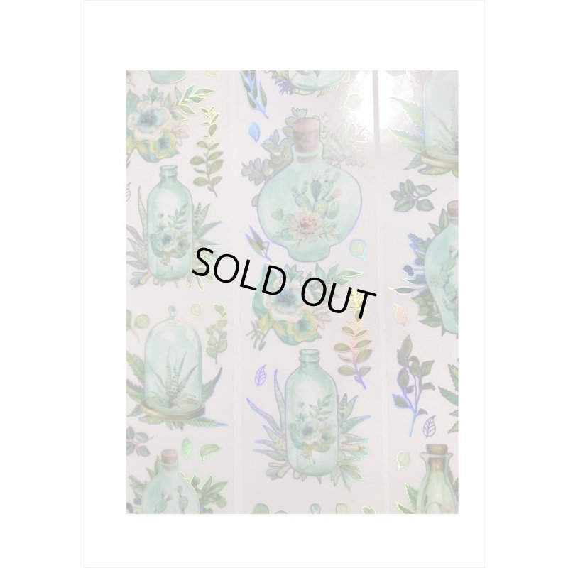 画像4: カラフルボトル＊グリーン＊ホログラム＊PETテープ＊はく離式＊海外マステ＊クリックポスト不可