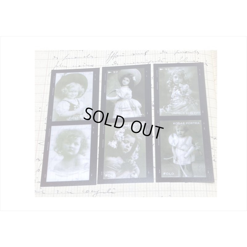 画像7: ネガフィルムみたいなPETシール＊マーガレット＊30枚入り＊海外製