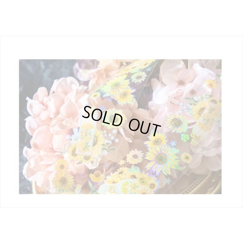 画像14: カラフルボトル＊ホワイト＊ホログラム＊PETテープ＊はく離式＊海外マステ＊クリックポスト不可