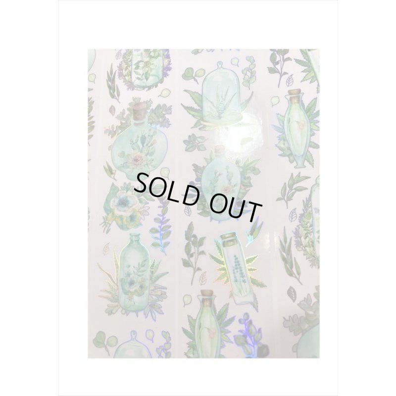 画像3: カラフルボトル＊グリーン＊ホログラム＊PETテープ＊はく離式＊海外マステ＊クリックポスト不可