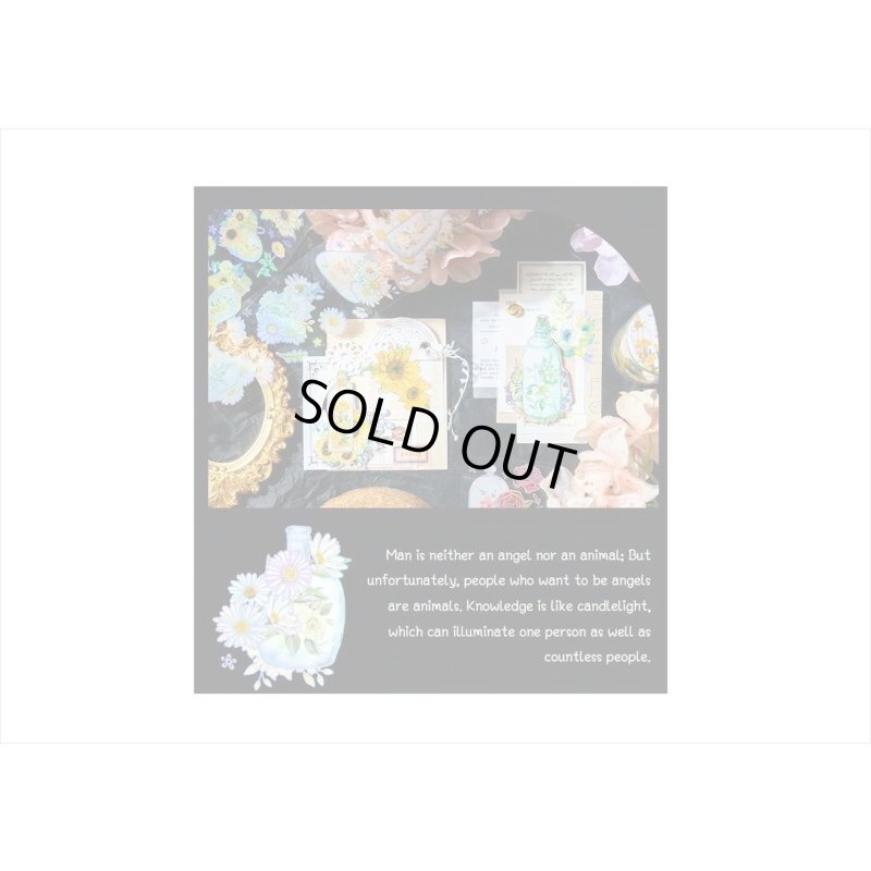 画像9: カラフルボトル＊ホワイト＊ホログラム＊PETテープ＊はく離式＊海外マステ＊クリックポスト不可