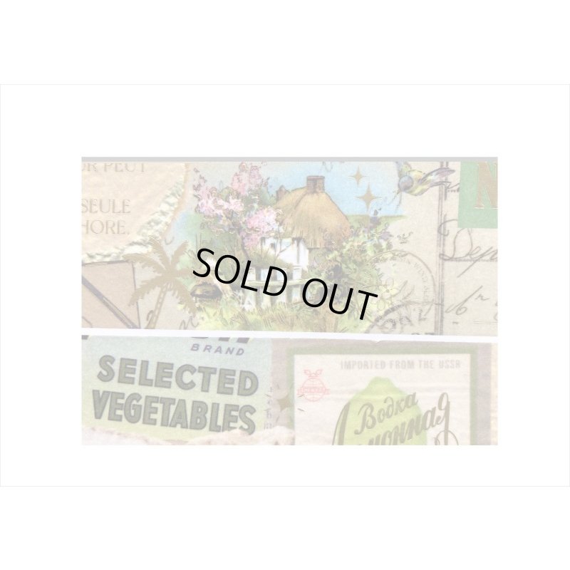 画像3: 自然の風景＊箔押し＊和紙テープ＊はく離式＊海外マステ＊クリックポスト不可