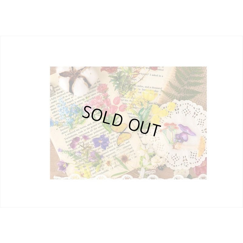 画像11: お花のシール＊ブルー＊PETシール＊ダイカット＊100枚＊海外製