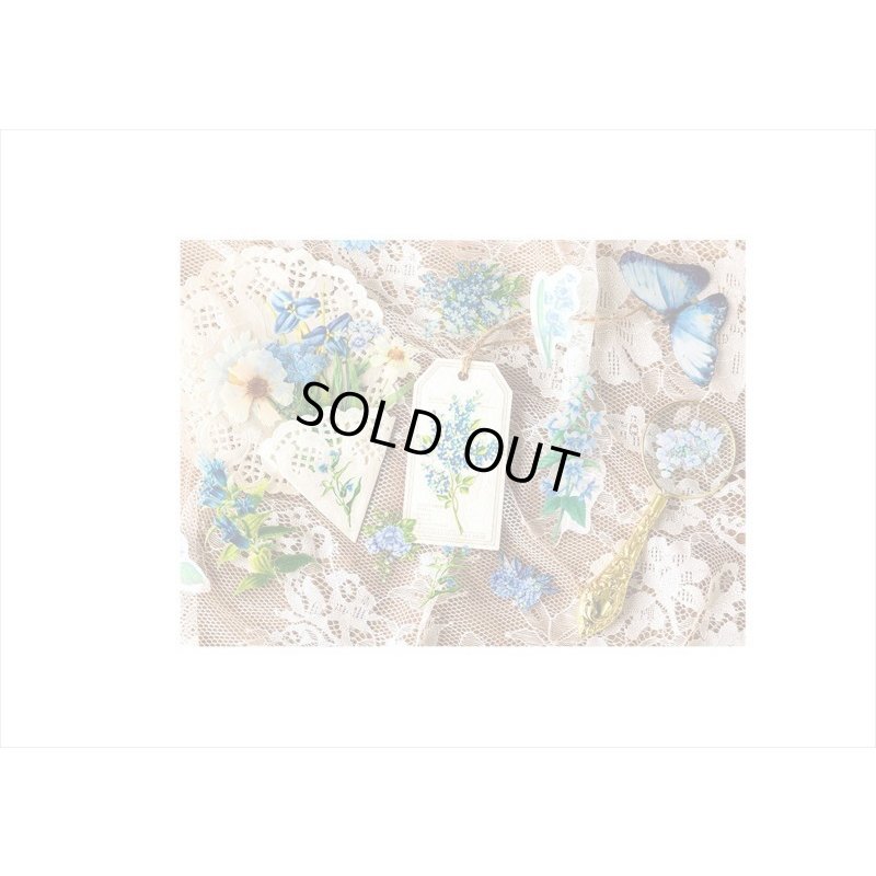 画像4: お花のシール＊ブルー＊PETシール＊ダイカット＊100枚＊海外製