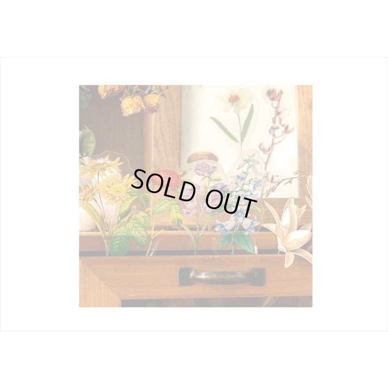 画像12: お花のシール＊ブルー＊PETシール＊ダイカット＊100枚＊海外製