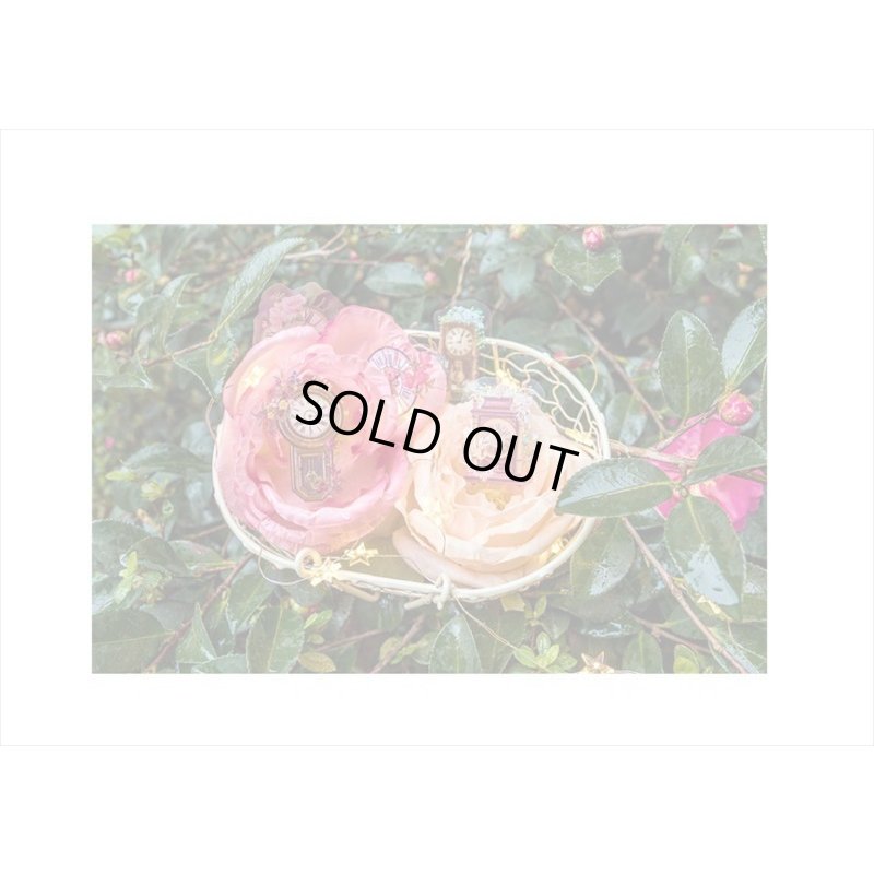 画像7: お花のラブソング＊花時計＊PETシール＊30枚＊海外製