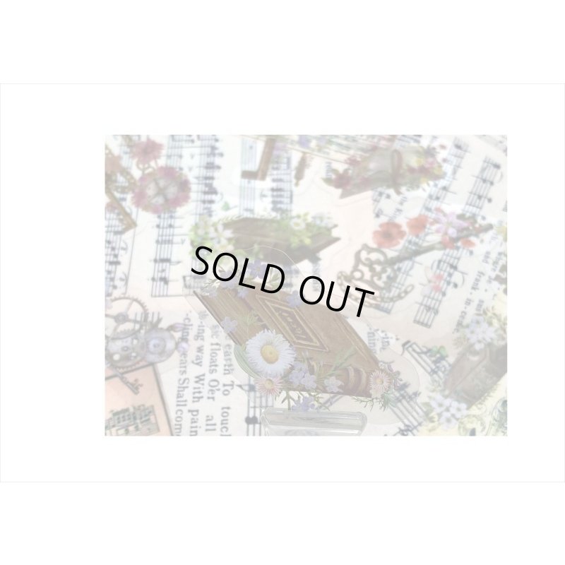 画像3: お花のラブソング＊フラワーキー＊PETシール＊30枚＊海外製