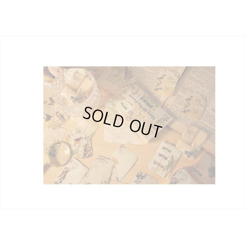 画像10: 封筒入り＊タグ風シールセット＊森の物語＊32枚＊海外製