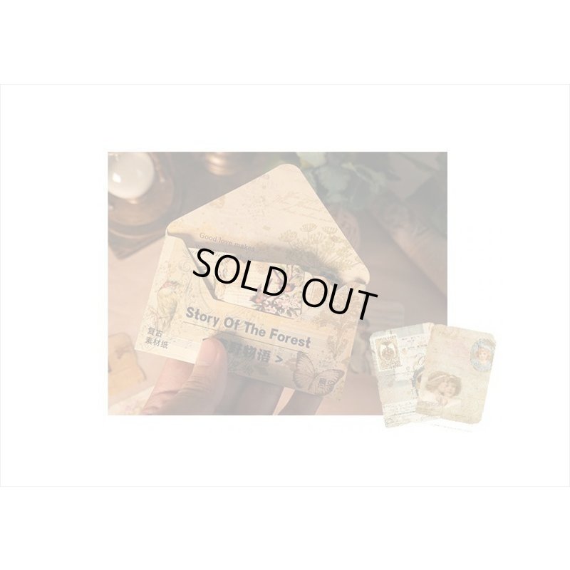 画像11: 封筒入り＊タグ風シールセット＊森の物語＊32枚＊海外製