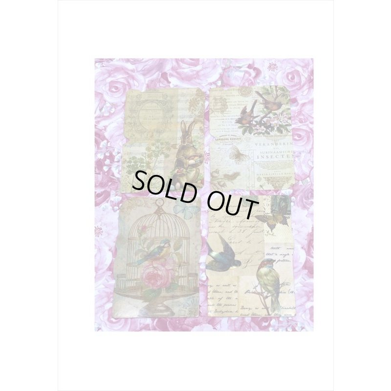 画像7: 封筒入り＊タグ風シールセット＊森の物語＊32枚＊海外製