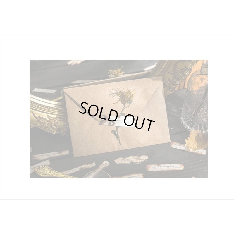 画像11: 焦げたメッセージシール＊幸運を＊30枚＊海外製