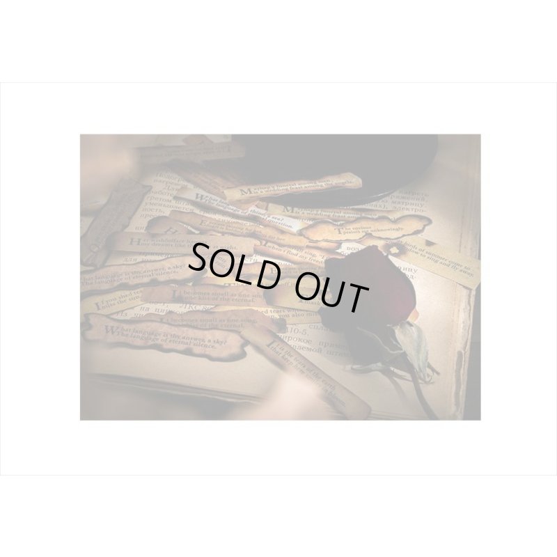 画像10: 焦げたメッセージシール＊幸運を＊30枚＊海外製