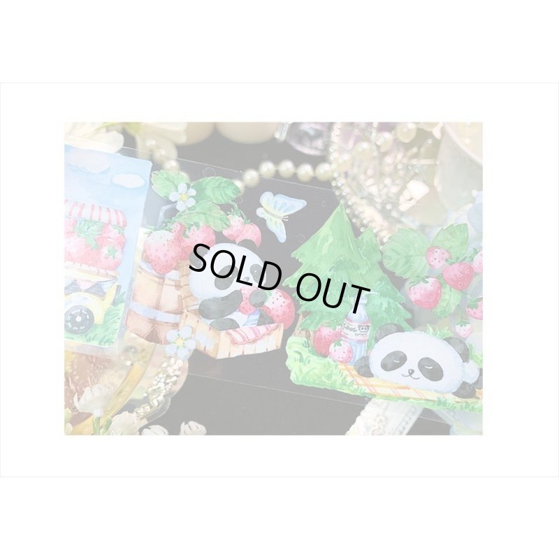 画像5: いちごパンダ＊新七天＊PETテープ＊はく離式＊海外マステ＊クリックポスト不可
