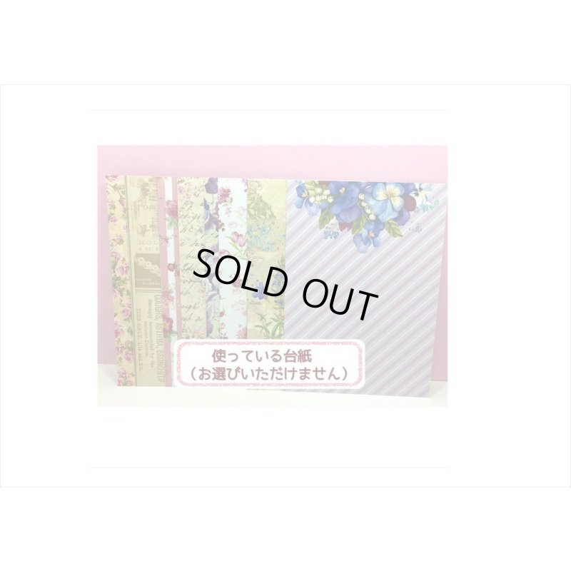 画像13: テープを少しずつ制覇！！ラブリーベア＊4種＊PET＊海外製