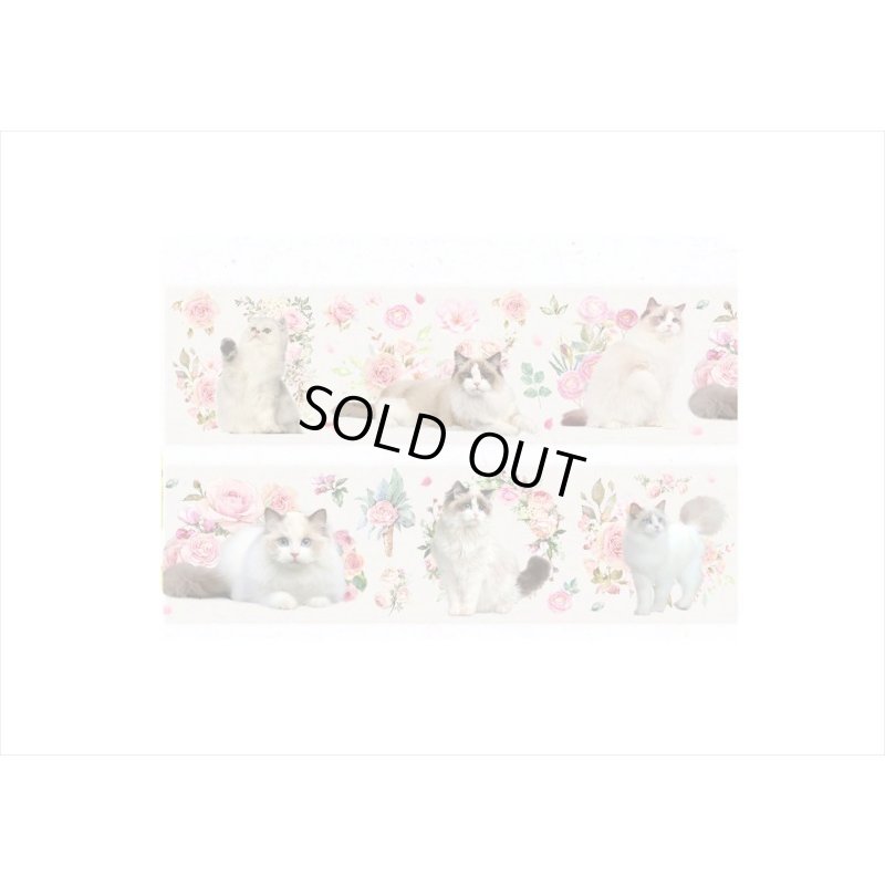 画像6: テープを少しずつ制覇！！フラワーキャット＊6種＊PETテープ＊海外製