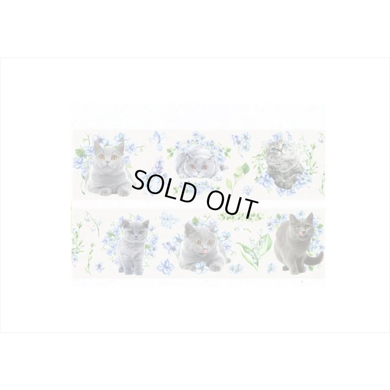 画像5: テープを少しずつ制覇！！フラワーキャット＊6種＊PETテープ＊海外製
