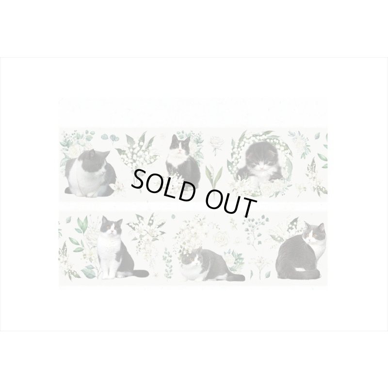 画像9: テープを少しずつ制覇！！フラワーキャット＊6種＊PETテープ＊海外製