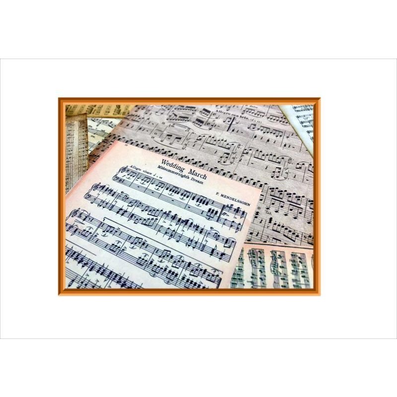 画像9: 両面印刷＊ピアノ発表会＊フォトマット紙＊4枚＊コラージュペーパー＊オリジナル