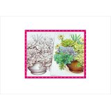 わくわく♪大人のぬり絵＊多肉＊植物＊20柄＊ペーパー＊オリジナル