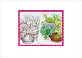 わくわく♪大人のぬり絵＊多肉＊植物＊20柄＊ペーパー＊オリジナル